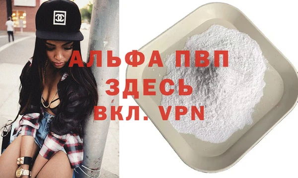 Альфа ПВП Белокуриха