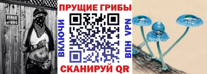 это как зайти  Ворсма  Псилоцибиновые грибы ЛСД 